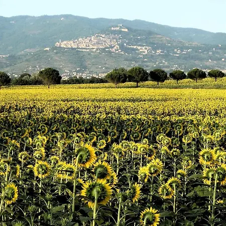 Gabri Bed & Breakfast Cortona
