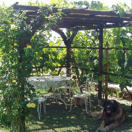 Gabri Bed & Breakfast 3*